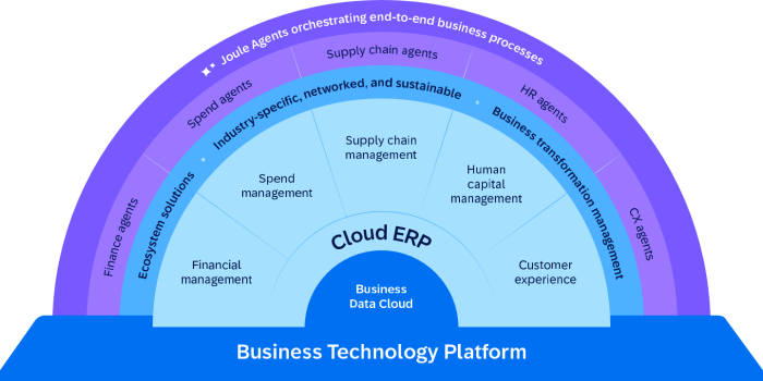 sap_tamogatas sap_tamogatas